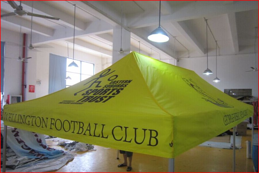 10'x20'custom tent top  printed on 4-sides