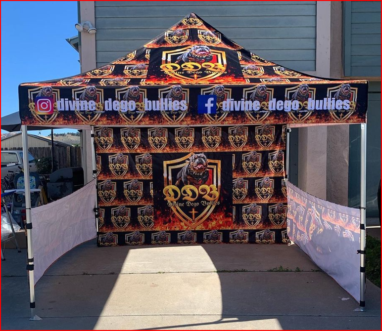 Devine Tent - 10x10 Gallery Image