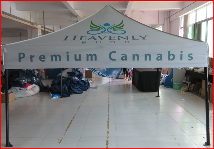 Heavenly Buds Premium Cannabis Tent - 10x10 Gallery Image
